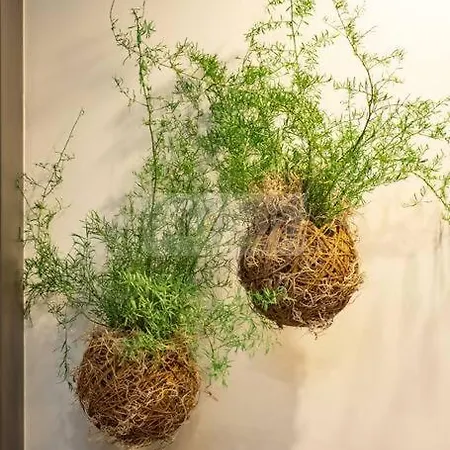 El Bosque Del Puerto By Silastur