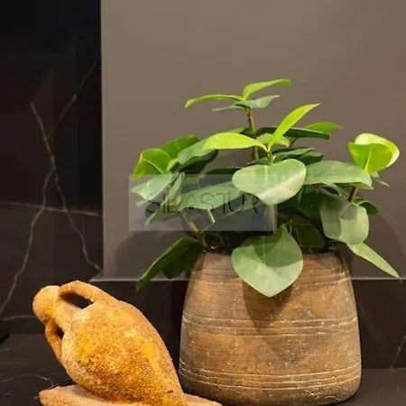 El Bosque Del Puerto By Silastur