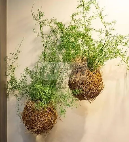 El Bosque Del Puerto By Silastur