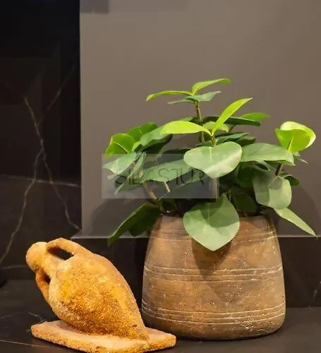 El Bosque Del Puerto By Silastur