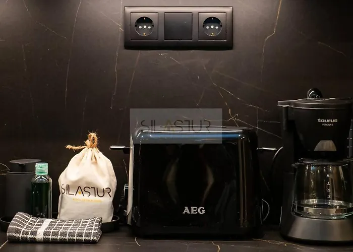 公寓 El Bosque Del Puerto By Silastur 希洪